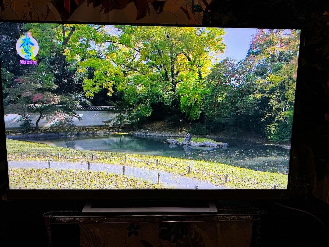 TOSHIBA 東芝 55V型 液晶テレビ レグザ 55Z740X