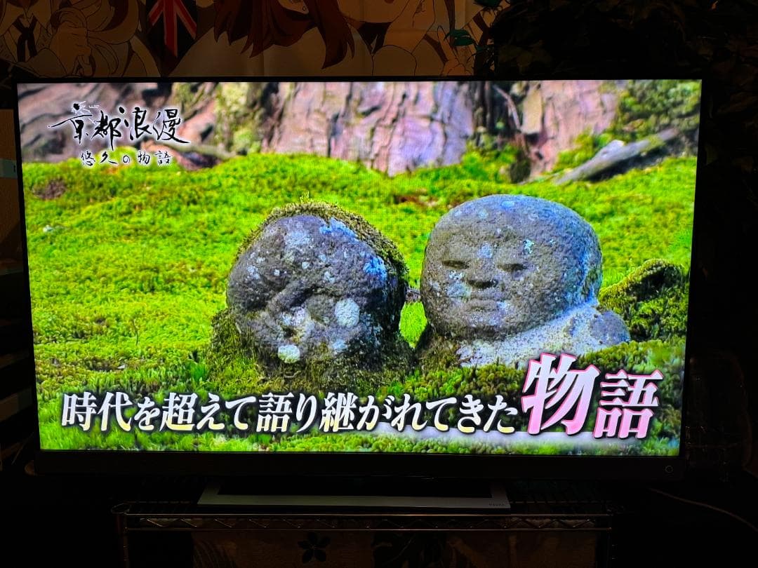 TOSHIBA 東芝 55V型 液晶テレビ レグザ 55Z740X