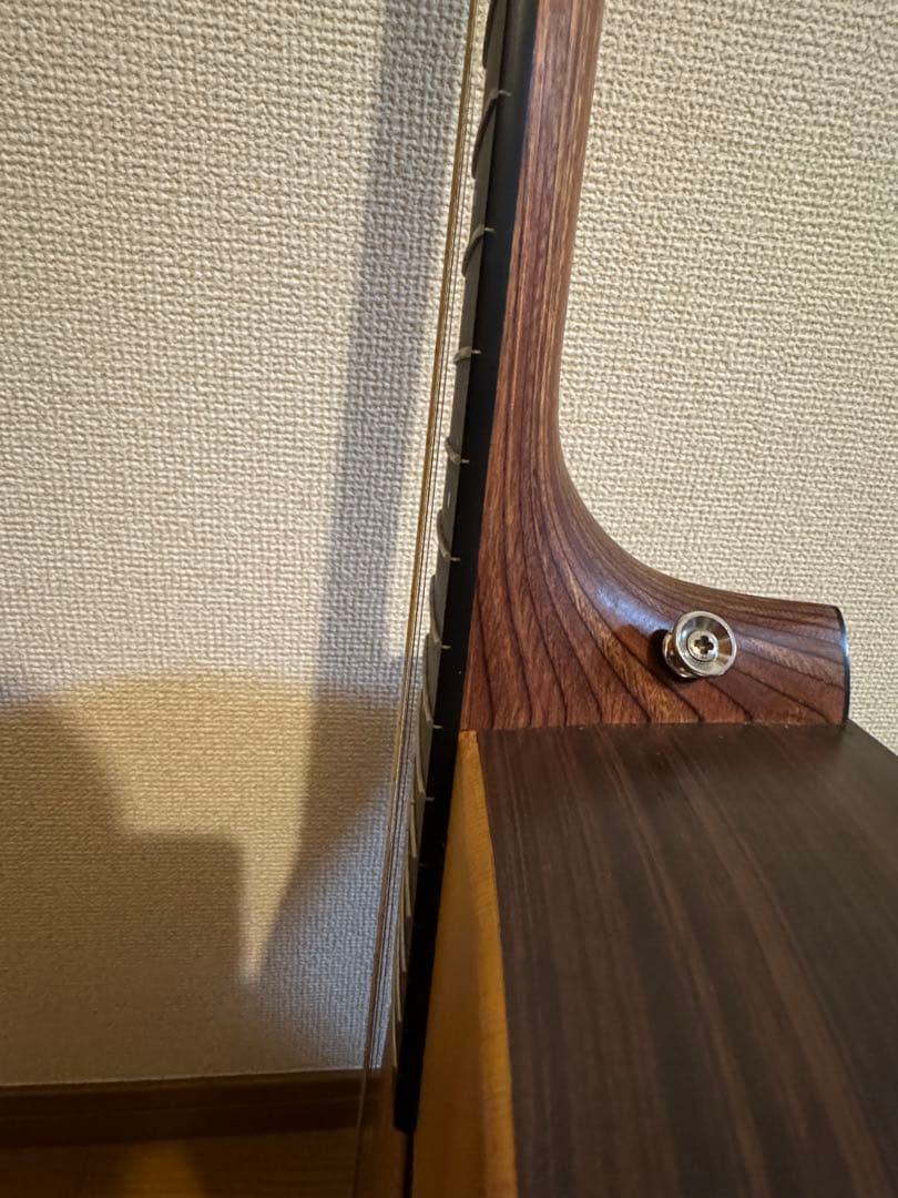 h*6様 Martin マーティン DX1RAE【ボディ割れ有】