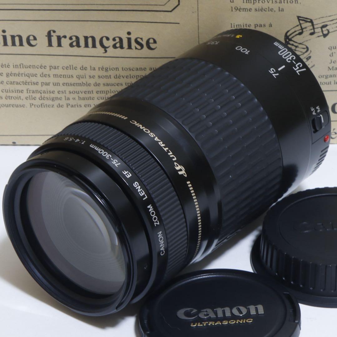 ◇超望遠&高速AF◇Canon純正 75-300mm I型 超望遠レンズ!!◇