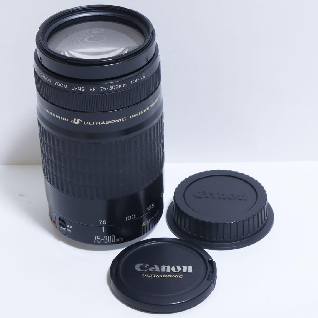 ◇超望遠&高速AF◇Canon純正 75-300mm I型 超望遠レンズ!!◇