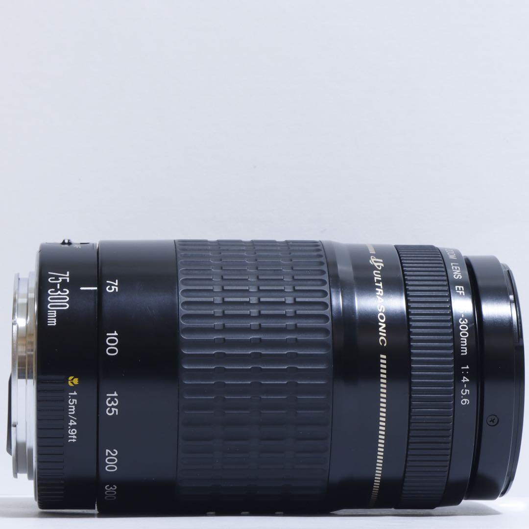 ◇超望遠&高速AF◇Canon純正 75-300mm I型 超望遠レンズ!!◇