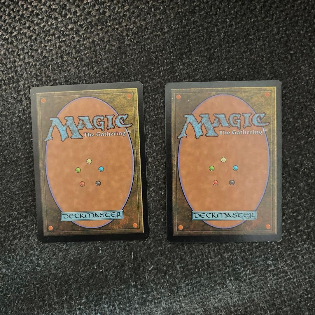 MTG 不毛の大地 英語 2枚