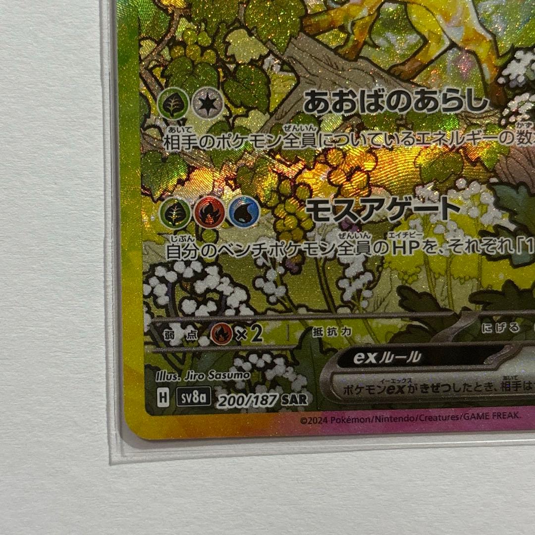 た*ー様 テラスタルフェスex ブイズ まとめ売り