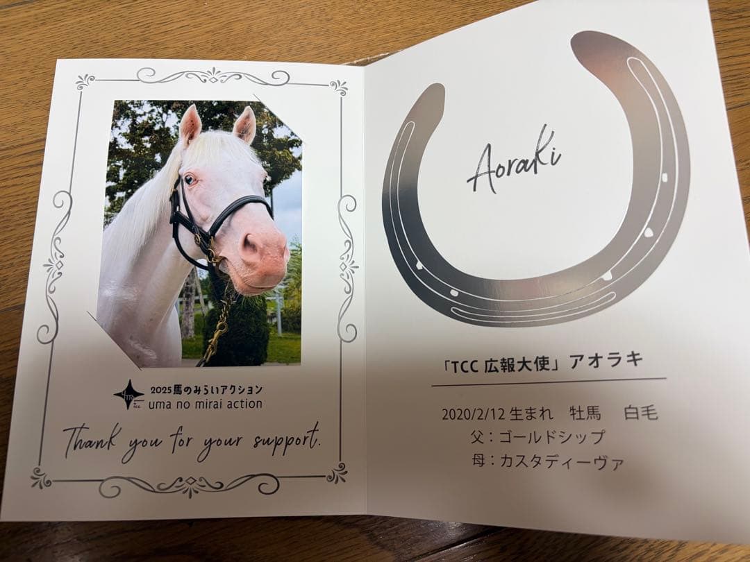 アオラキ サンクスカード&カレンダーセット