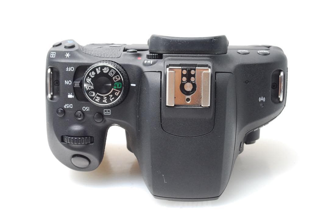 わさびちゃんページ