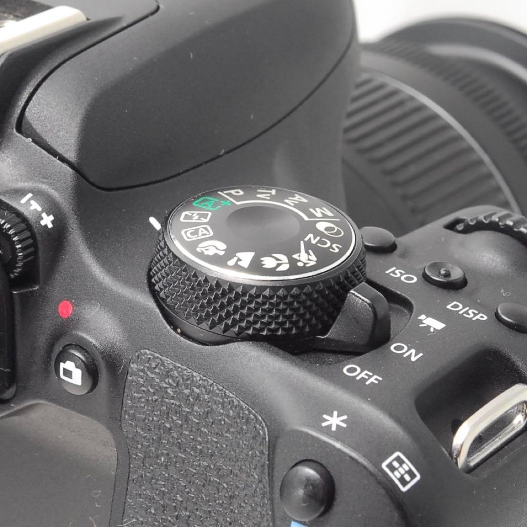 わさびちゃんページ