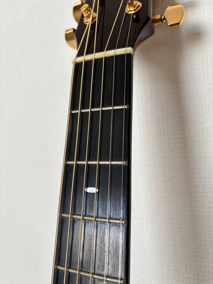 【値下げ】Switch D-70C（純正ギグバッグ付き）美品