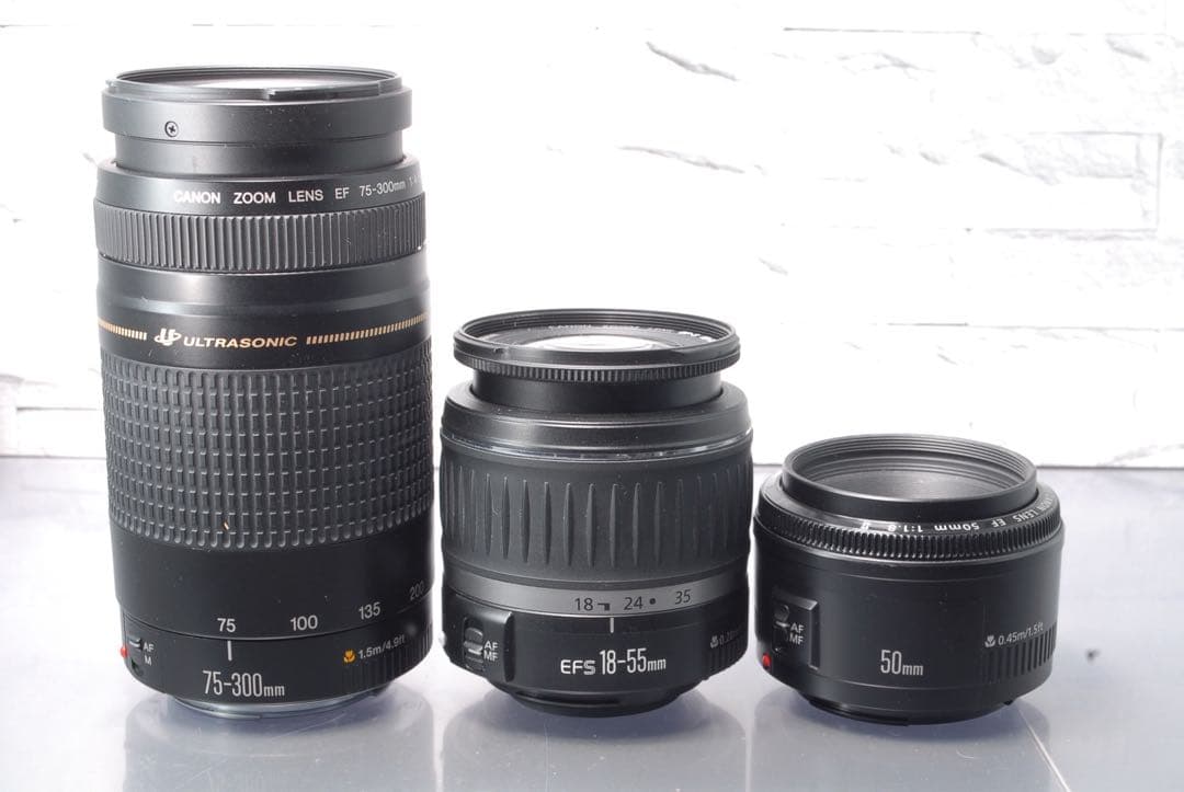 Canon EOS 80D トリプルレンズキット 単焦点 望遠レンズ Wi-Fi