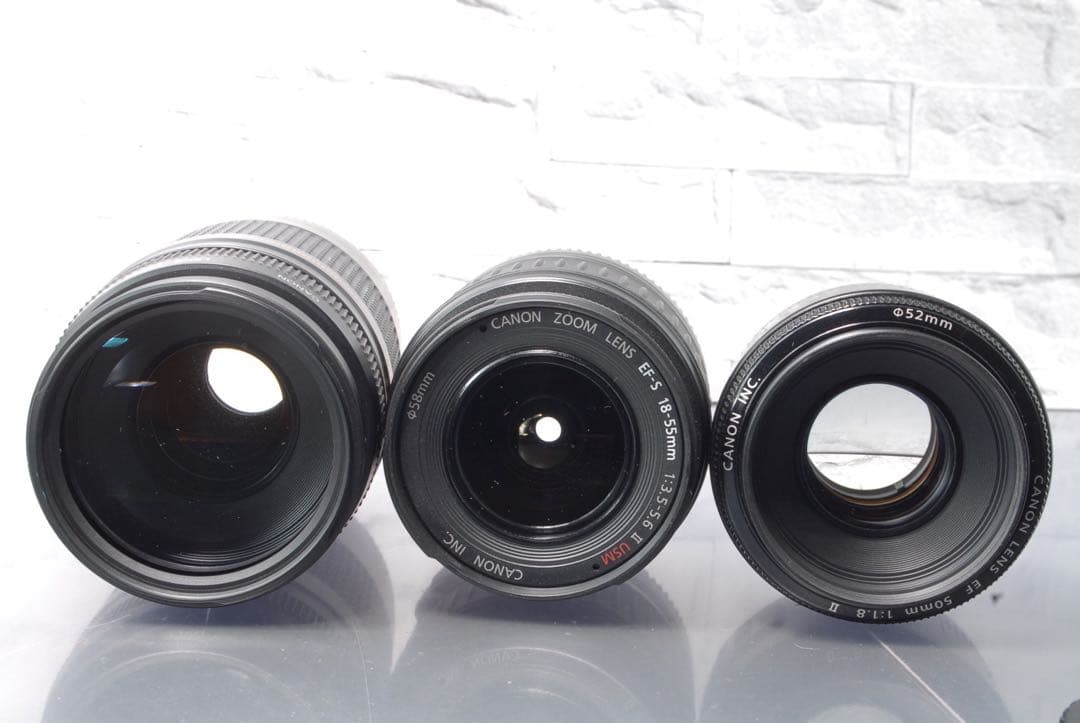 Canon EOS 80D トリプルレンズキット 単焦点 望遠レンズ Wi-Fi