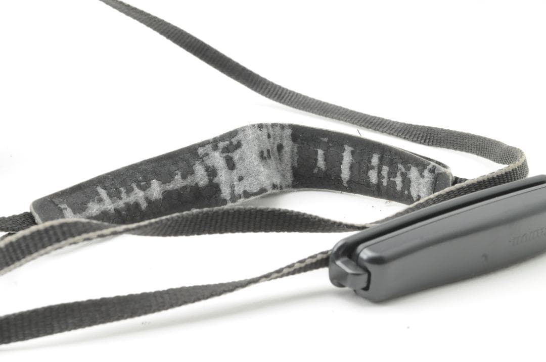 Canon キヤノン Autoboy S オートボーイ Panorama