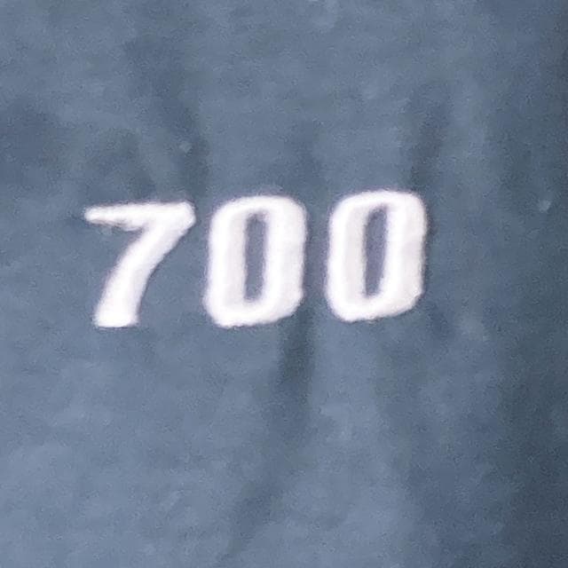 ノースフェイス　700フィル　ハイベント　ダウンジャケット　XL　#197