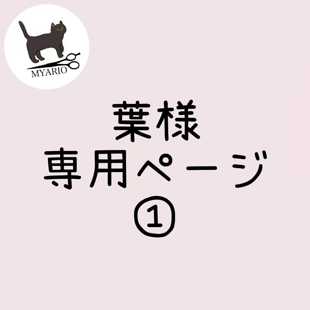 お見積もり専用ページ(#479-1)