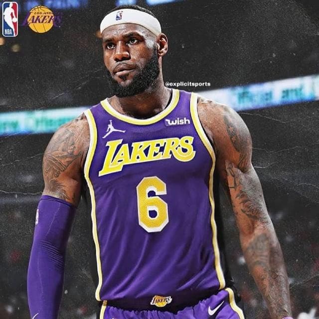 ナイキ　NIKE ジョーダン　Jordan レブロン　レイカーズ　タンクトップ