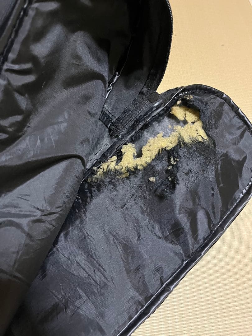 Squier affinity stratocaster lefty 左利き