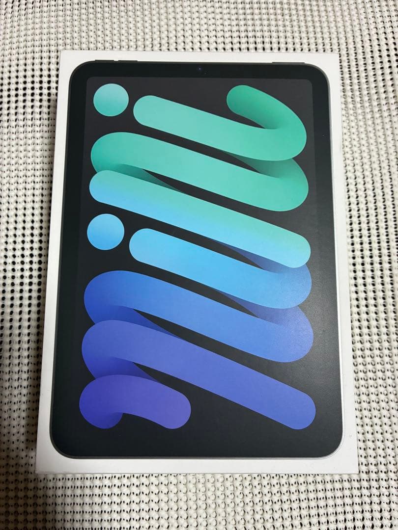 Apple iPad mini A17 Pro スペースグレー