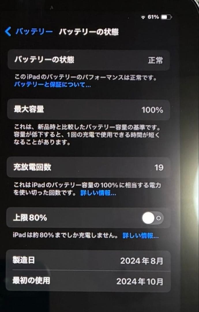 Apple iPad mini A17 Pro スペースグレー