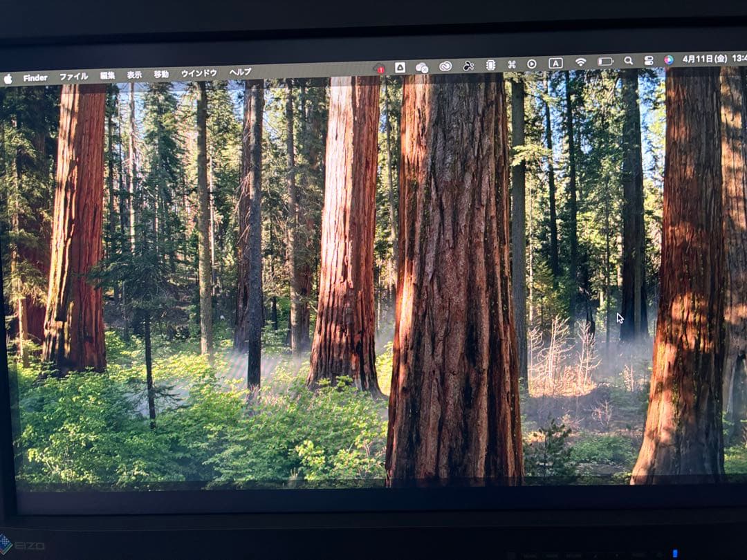 EIZO ColorEdge CX240 24インチモニター本体