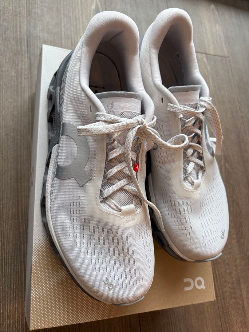 On Cloudmonster 2 ペールグレー　25.0センチ