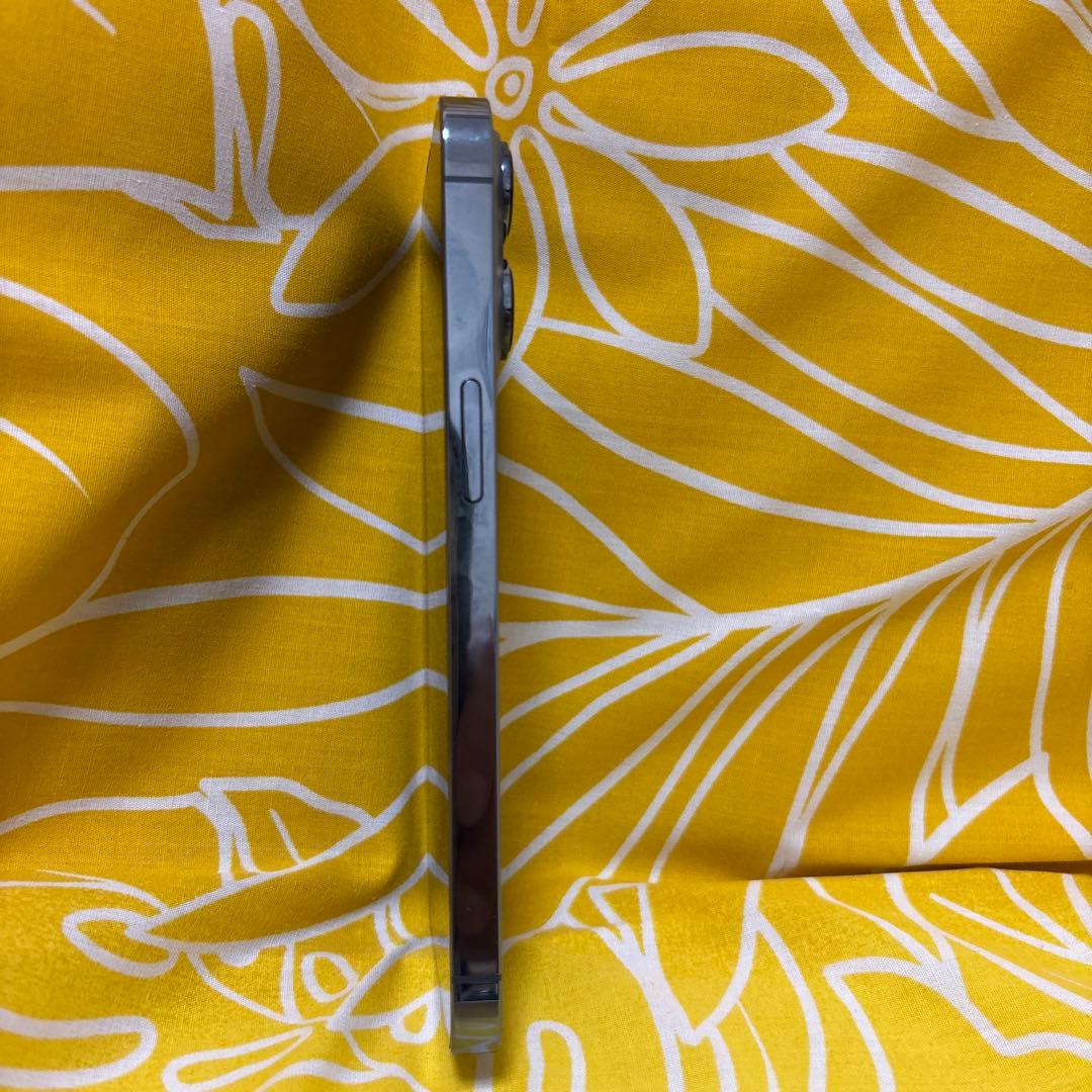 Apple iPhone 13 Pro シエラブルー本体