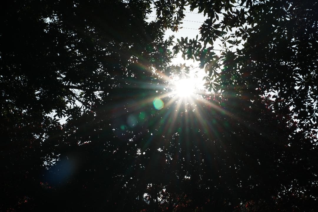 【整備＆テスト済】Nikon Ai-s Nikkor 50mm f1.8 506