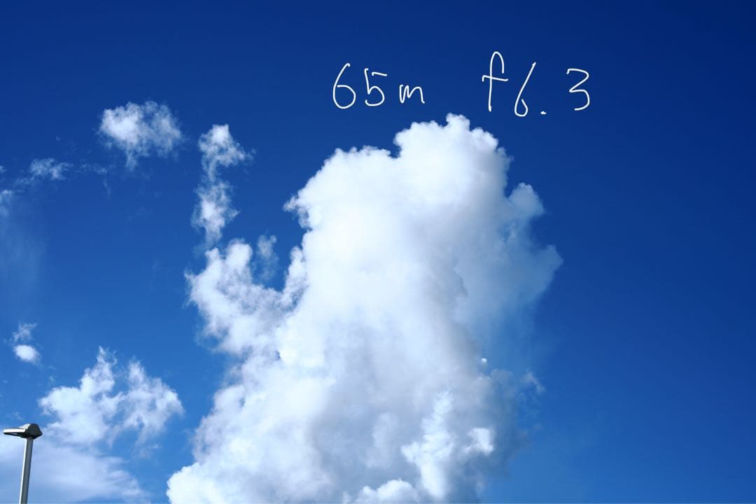 SIGMA fp レンズ2本　ケージセット