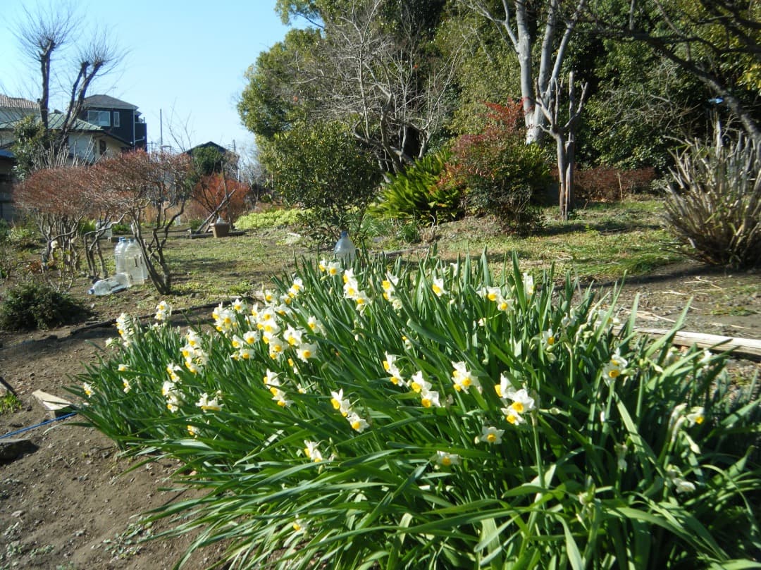 実写美⭕️良品【動作確認済み】FUJIFILM FinePix Z33WP