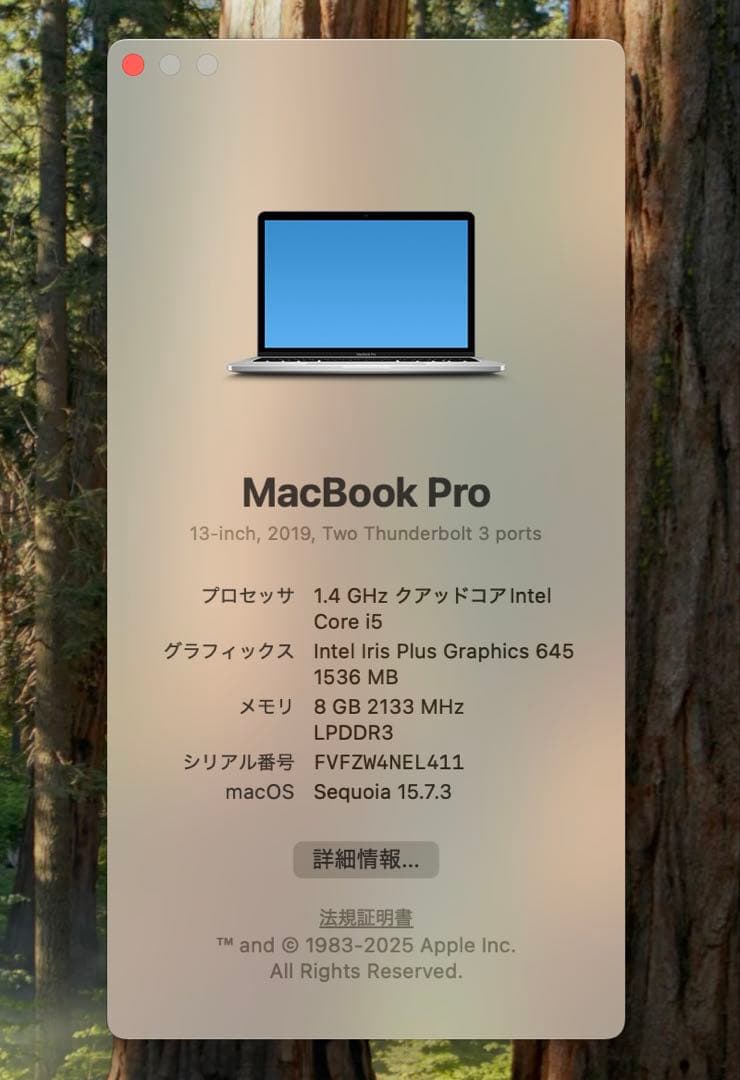 MacBook本体 Apple MacBook Pro 13 2019 i5/8GB/120Gb