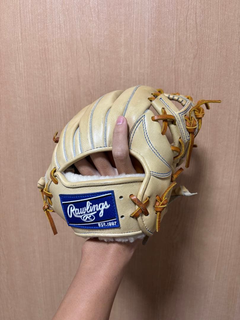 硬式グローブ ローリングス