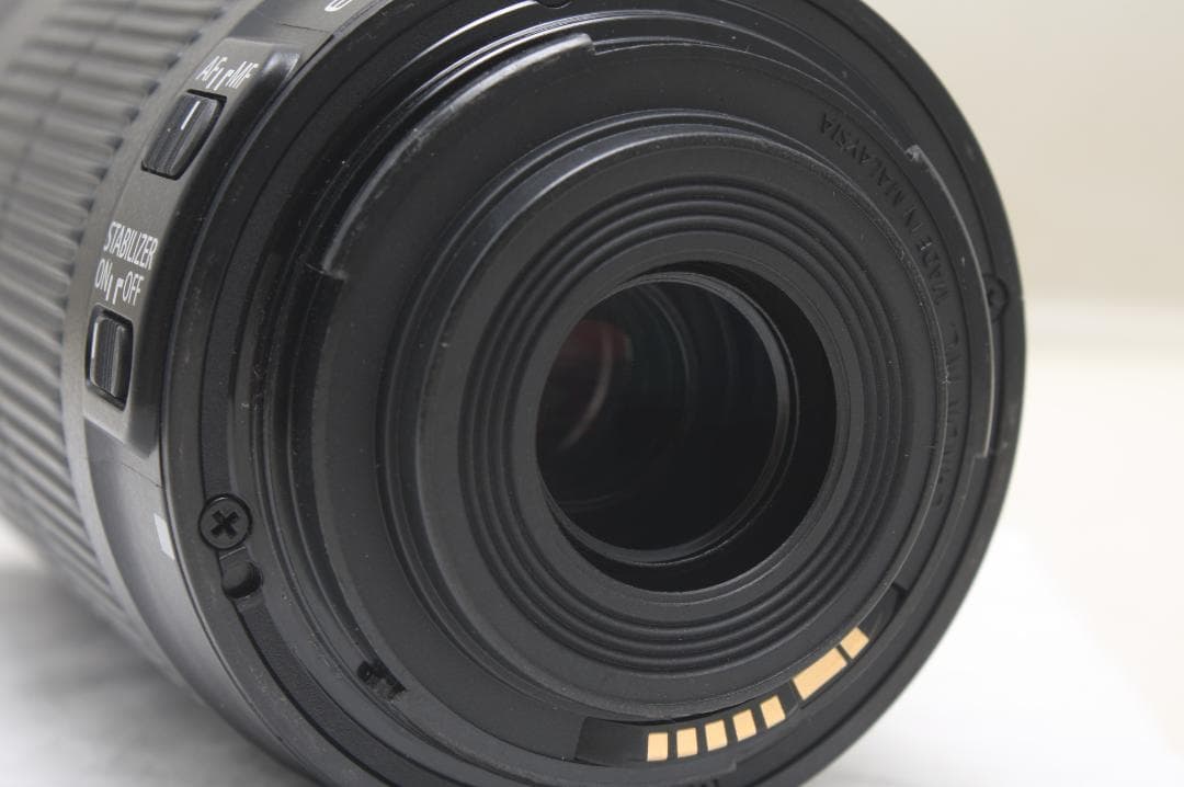 キヤノン EF-S 55-250mm F4-5.6 IS STM 4519