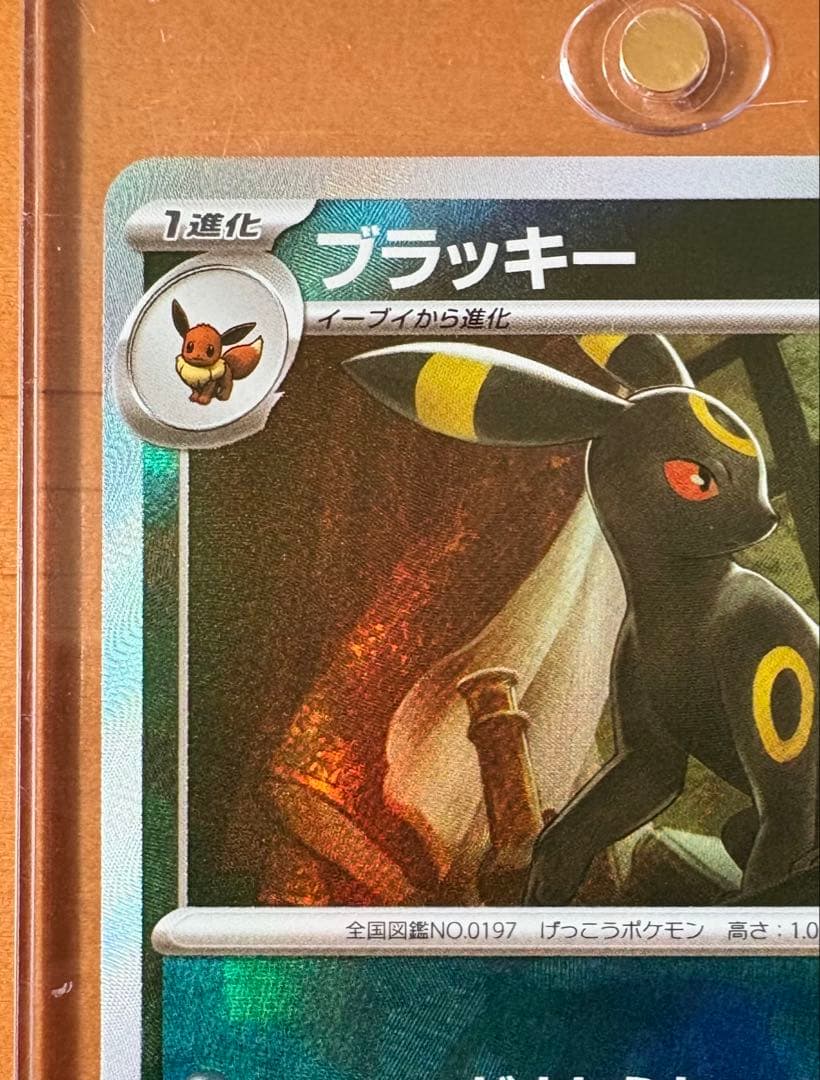 ブラッキー　マスターボール柄　マグネットローダー付き