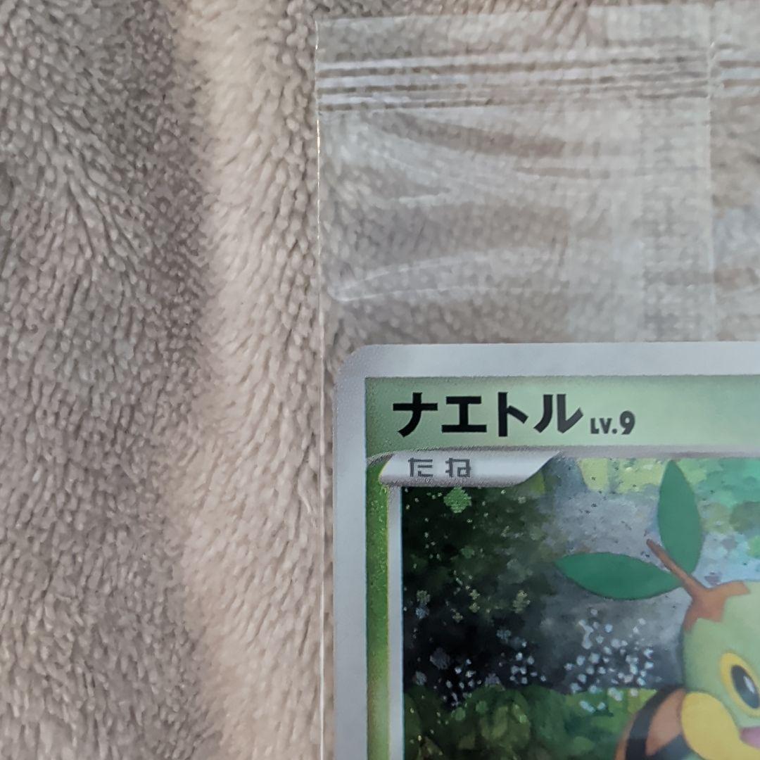 【未開封】トレーナズクラブプロモ　ナエトル　マナフィ　セット