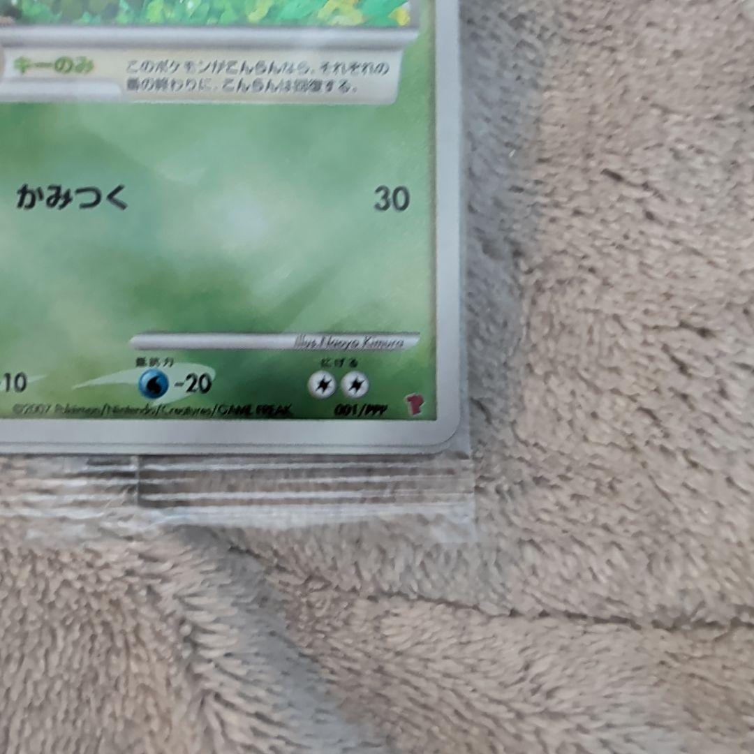 【未開封】トレーナズクラブプロモ　ナエトル　マナフィ　セット