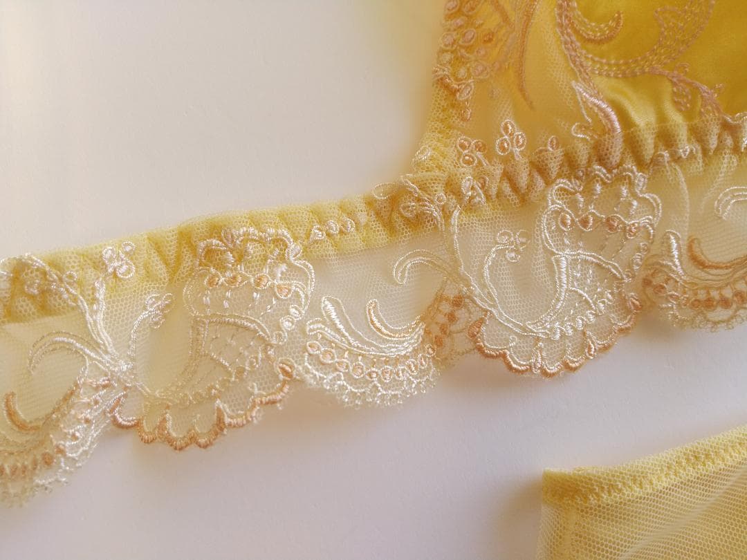 専用＊SALE＊《リズシャルメル》Splendeur Soie　ブラセット