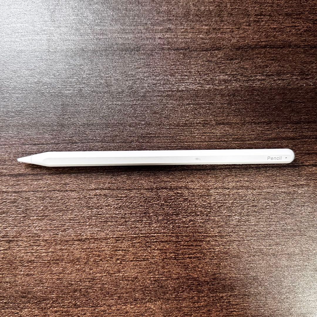 iPad Pro 12.9 第5世代 256GB セルラー