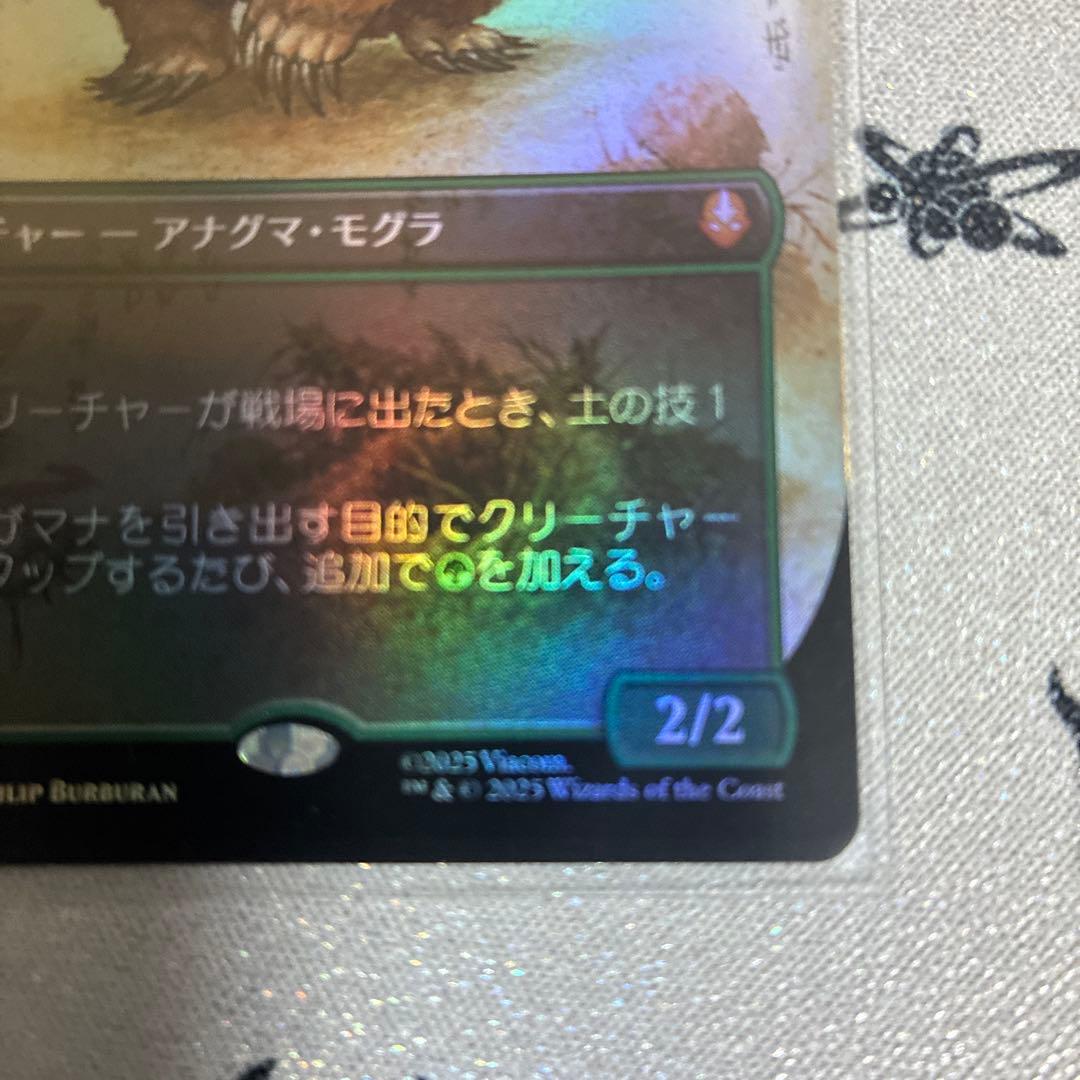 アナグマモグラの仔　ボーダーレスfoil