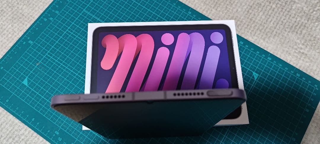 極美品 iPad mini（A17 Pro）セルラーモデル パープル 128GB