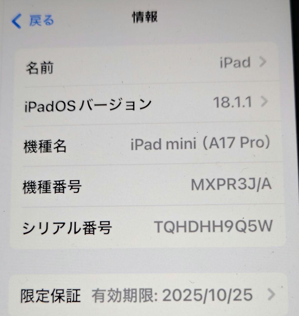 極美品 iPad mini（A17 Pro）セルラーモデル パープル 128GB