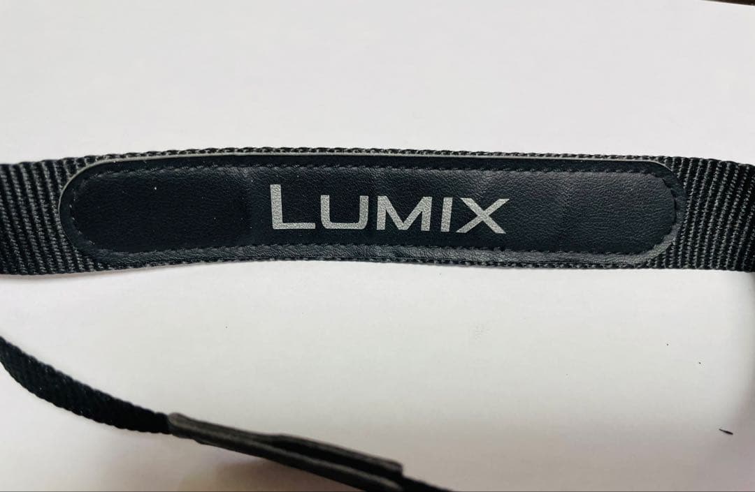 Panasonic DMC-FZ300 デジタルカメラ 4K バッテリー2個