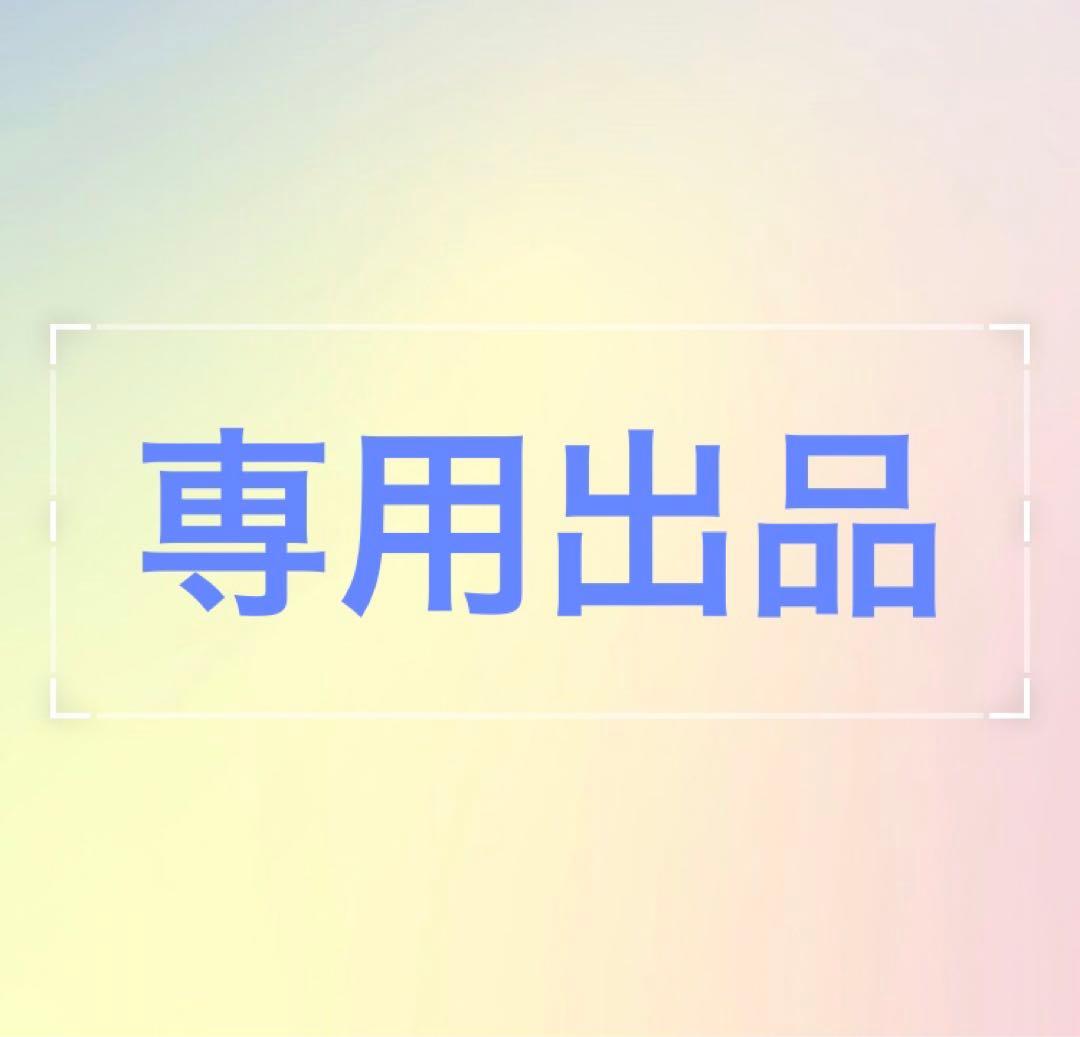 専用　画像の2点