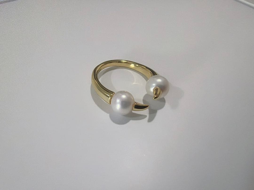 専用　画像の2点