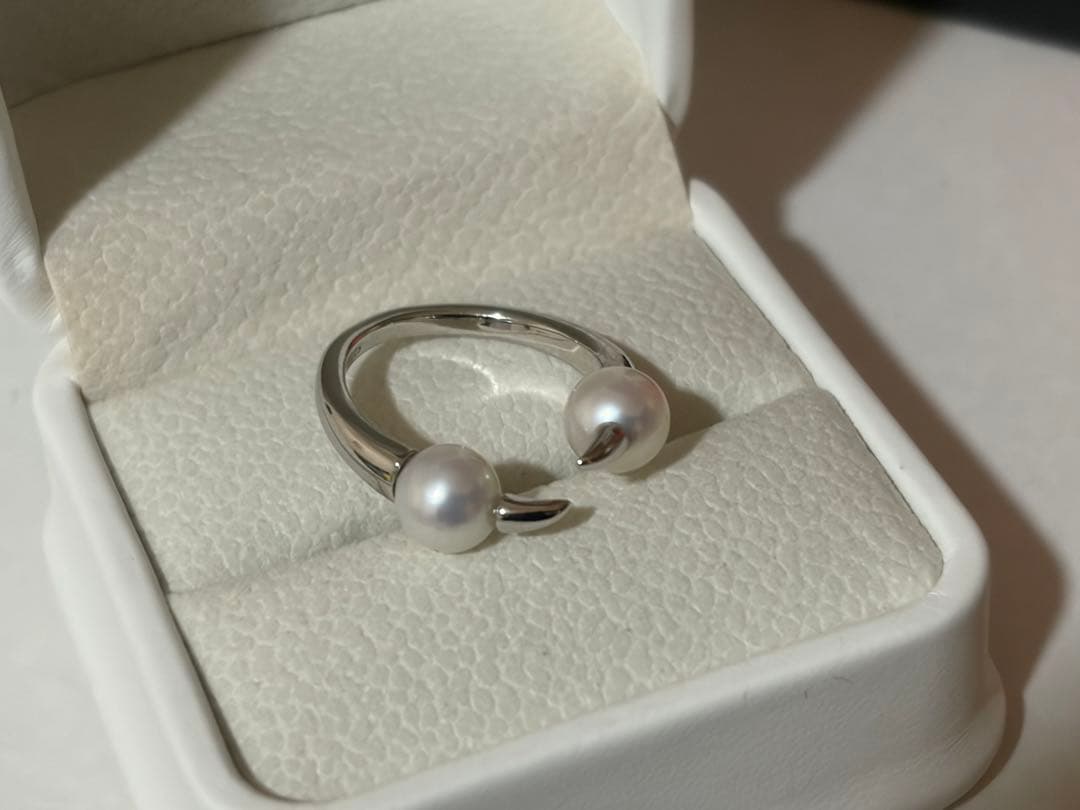 専用　画像の2点