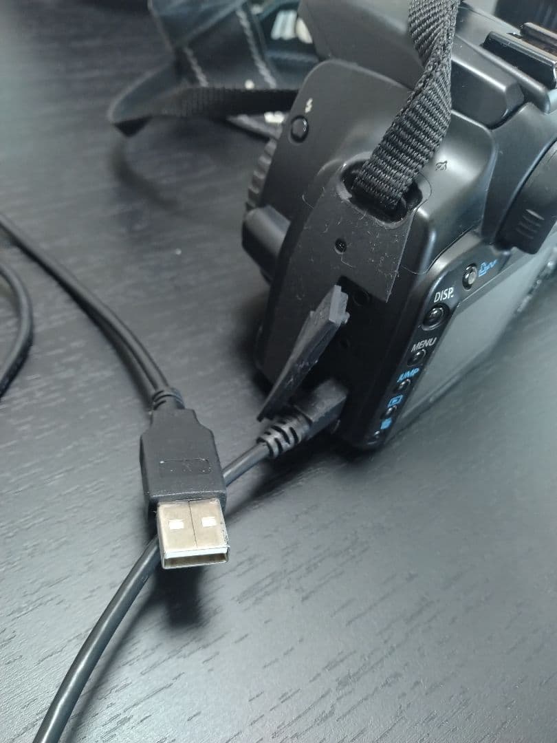 デジタル一眼デビュー✨Canon EOS Kiss Digital X