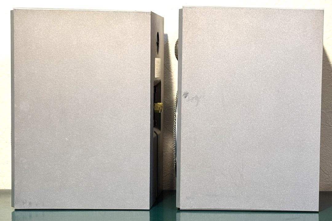 Pioneer パイオニア S-X20 エッジ良好