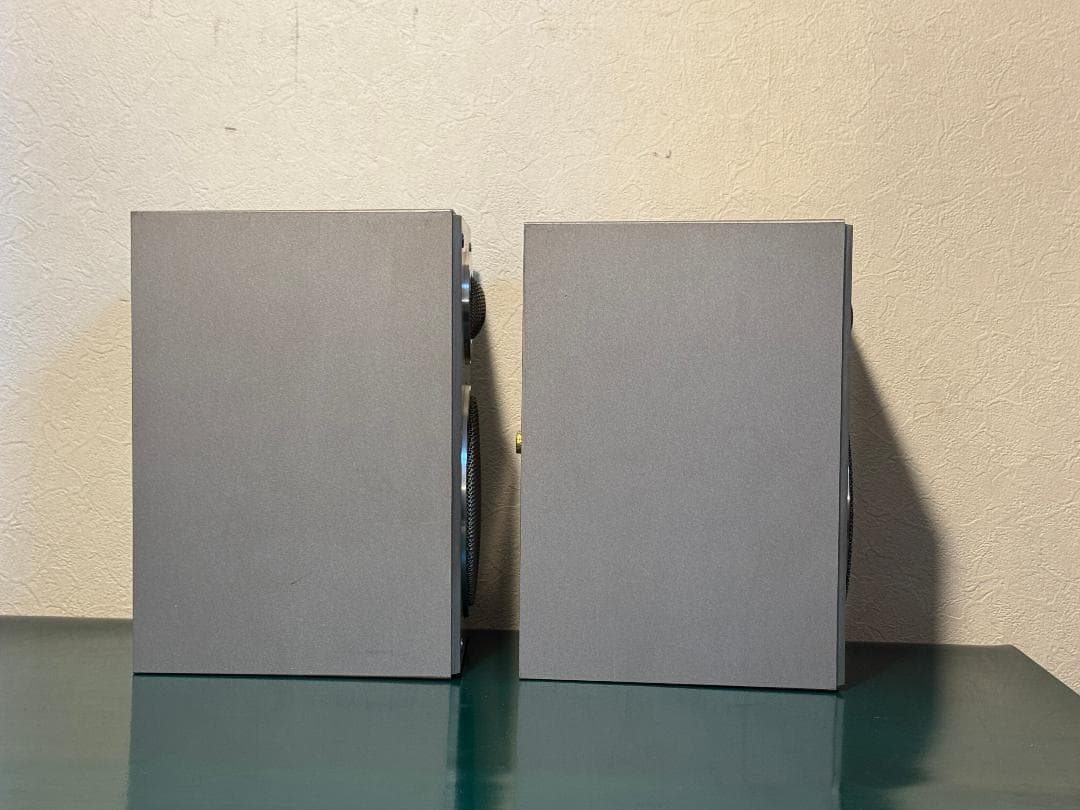 Pioneer パイオニア S-X20 エッジ良好