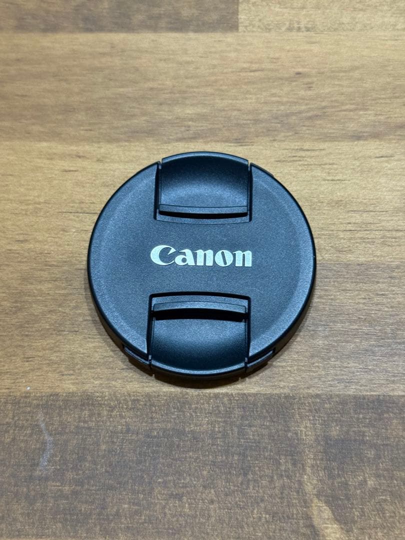 RF24-105mm F4-7.1 IS STM(レンズプロテクター/フード付)