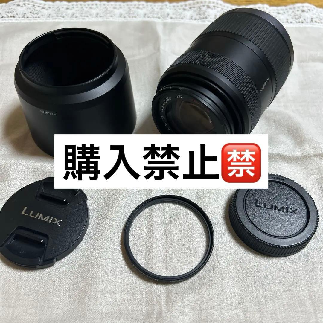 LUMIX G VARIO 45-200mm 望遠レンズ H-FS045200