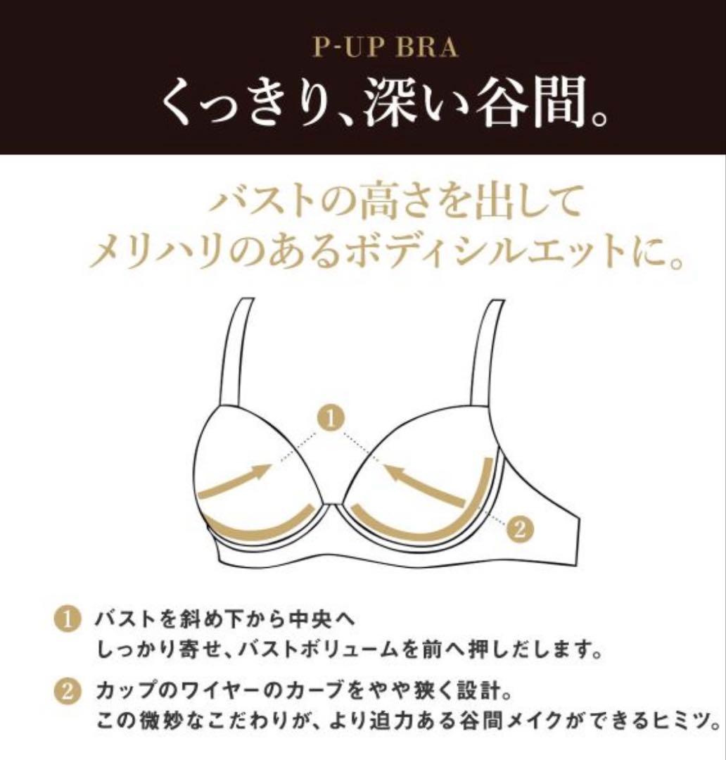 ワコール サルート ブラジャー F65