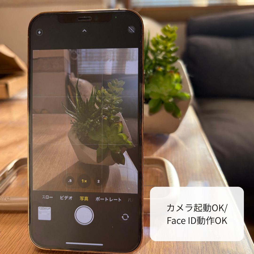 iPhone12 Pro ゴールド 256GB｜純正バッテリー100%｜美品