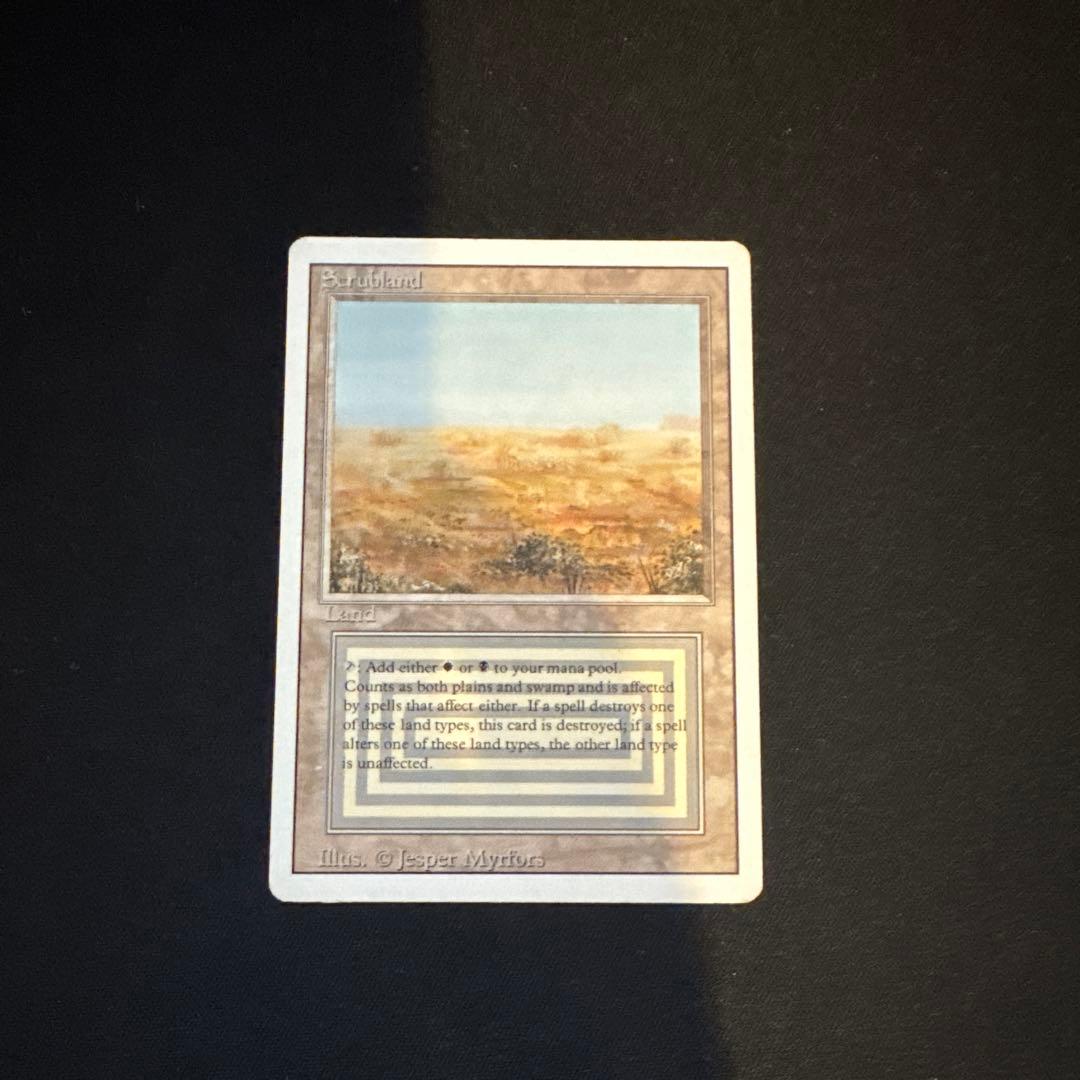 マジック：ザ・ギャザリング Scrubland 3ED